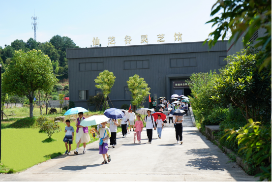 欢迎!浙江师范大学教师教育学院“童心夏梦”实践队带领百位小朋友参观浙江龙泉佳宝生物科技有限公司(图7) 欢迎!浙江师范大学教师教育学院“童心夏梦”实践队带领百位小朋友参观浙江龙泉佳宝生物科技有限公司(图7)