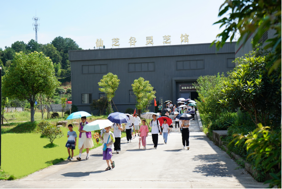 欢迎！浙江师范大学教师教育学院“童心夏梦”实践队带领百位小朋友参观浙江龙泉佳宝生物科技有限公司(图7)