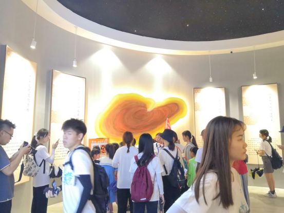 欢迎!浙江师范大学教师教育学院“童心夏梦”实践队带领百位小朋友参观浙江龙泉佳宝生物科技有限公司(图10) 欢迎!浙江师范大学教师教育学院“童心夏梦”实践队带领百位小朋友参观浙江龙泉佳宝生物科技有限公司(图10)