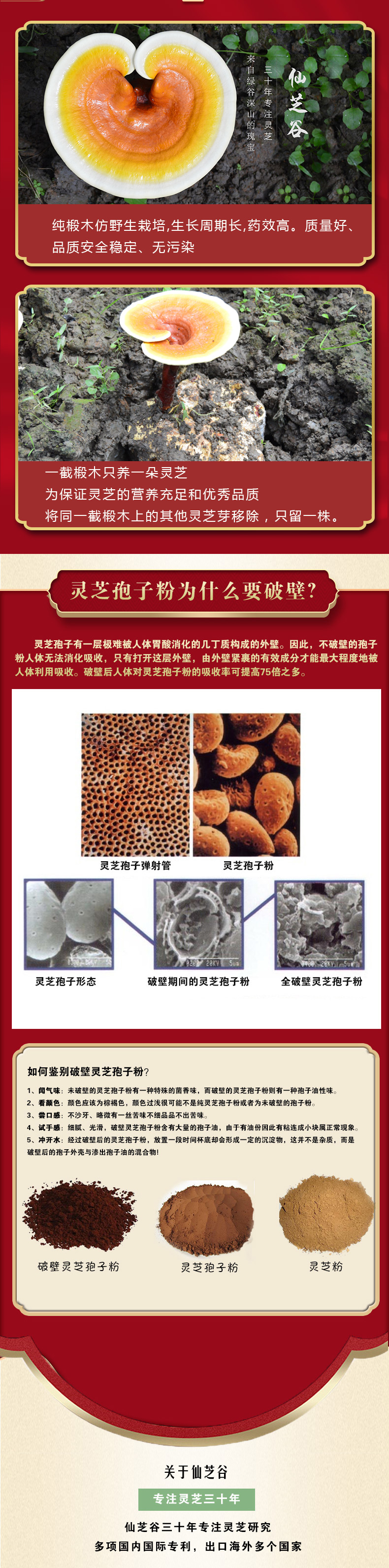 仙芝谷牌破壁灵芝孢子粉(定制款)(图5)