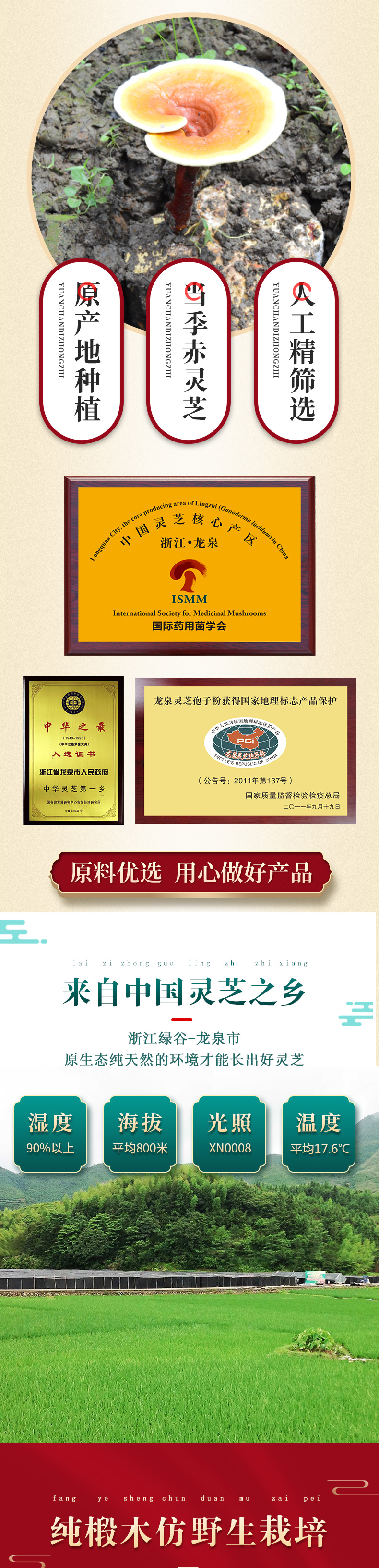 仙芝谷牌破壁灵芝孢子粉(定制款)(图4)