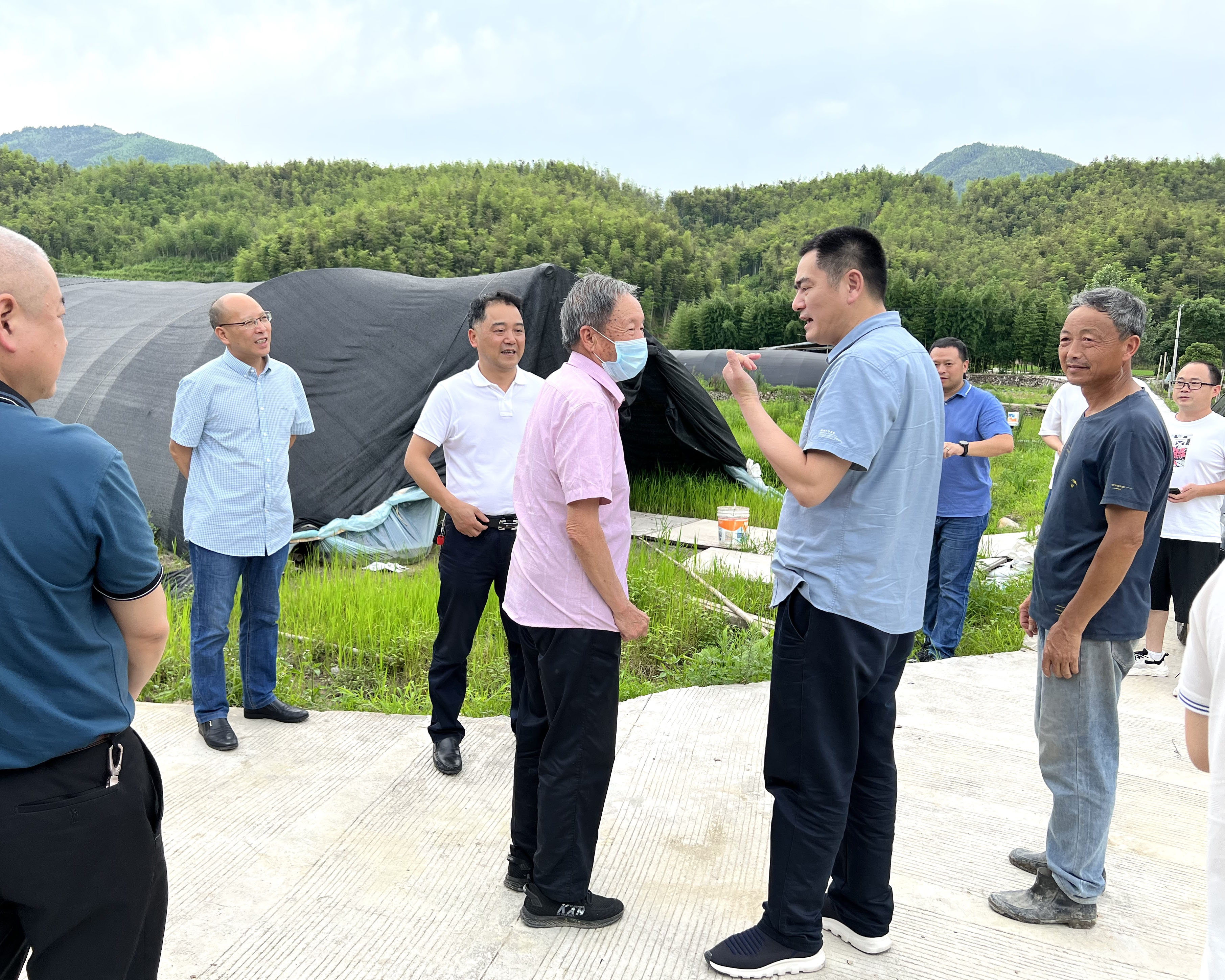 仙芝谷快讯||龙泉市政协、农业农村局、八都镇政府等一行领导来仙芝谷灵芝基地参观调研(图6)